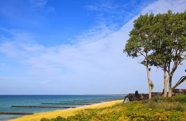 Chata Thatched Wydmach Plaży Morze Bałtyckie Ahrenshoop Fischland Meklemburgia Pomorze — Zdjęcie stockowe