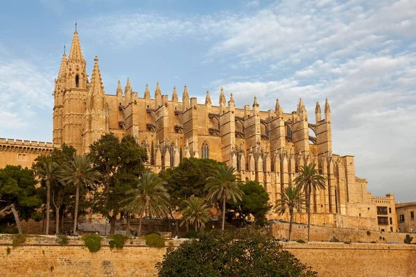 Seu Cathedral Cathedral Saint Mary Evening Light Palma Mallorca Majorca — Stock Photo, Image