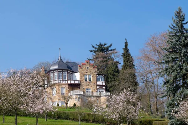 Villa Emilie Pihenés Egykori Gyermekotthon Bad Bergzabern Német Borút Palatinát — Stock Fotó