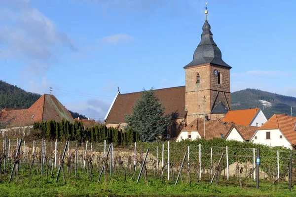 Över Burrweiler Kyrkan Maria Heimsuchung Burrweiler Sdpfalz Pfalz Rheinland Pfalz — Stockfoto