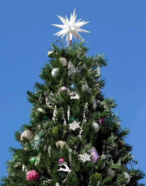 Árvore Natal Contra Céu Azul — Fotografia de Stock