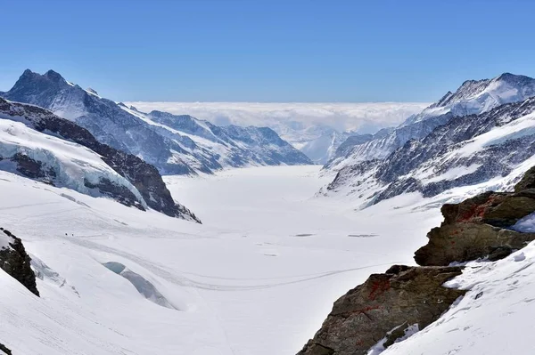 Geleira Aletsch Com Neve Vista Jungfraujoch Cantão Valais Suíça Europa — Fotografia de Stock