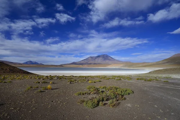 Typical landscape on the Laguna Hedionda, lagoon route, Nor Lpez province, Potosi department, Bolivia, South America