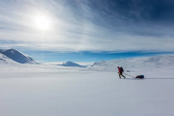 Ski Tourer Pulka Snow Kungsleden Knigsweg Province Lapland Sweden Scandinavia — Φωτογραφία Αρχείου