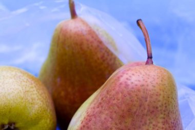Pears close up view clipart