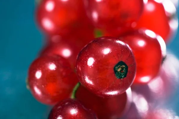 Currants Close View — Stock Photo, Image