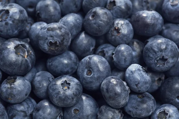 Blueberries Close View — Stock Photo, Image