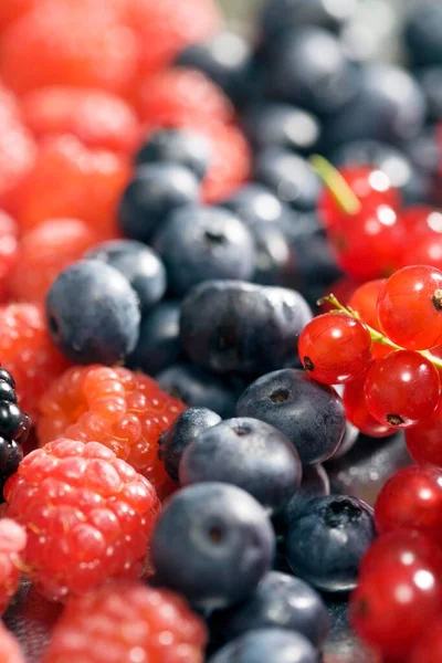 Currants Blueberries Rasberries Blackberries — Stock Photo, Image