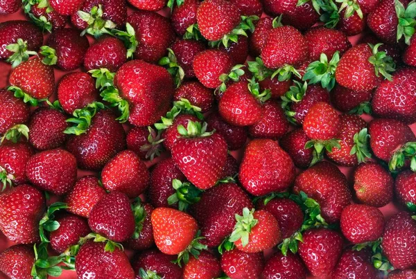 Strawberries Close View — Stock Photo, Image