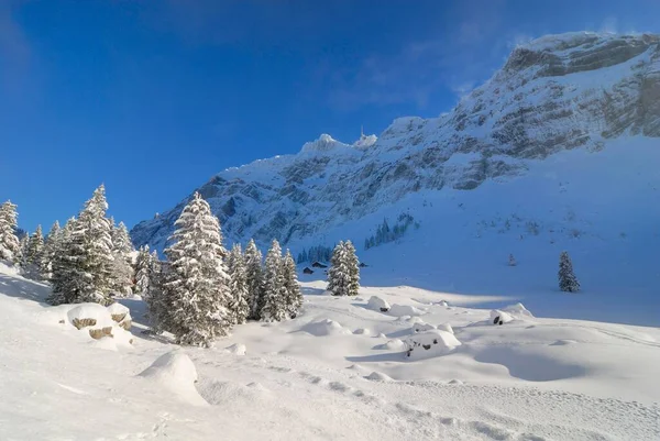 Hóval Borított Táj Svájci Alpokban Kanton Apenzell Ausserrhoden Svájc Európa — Stock Fotó
