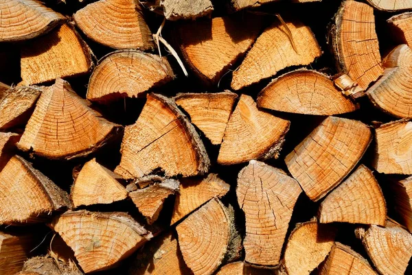 Brennholz Aus Nächster Nähe Gestapelt — Stockfoto