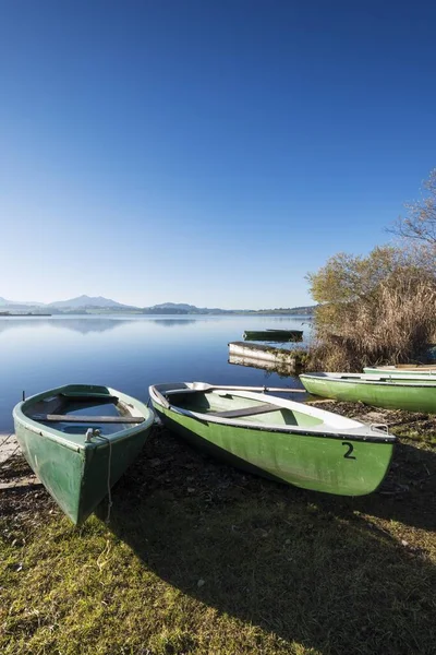 Barche Remi Sulla Riva Del Lago Hopfensee Vicino Fuessen Regione — Foto Stock