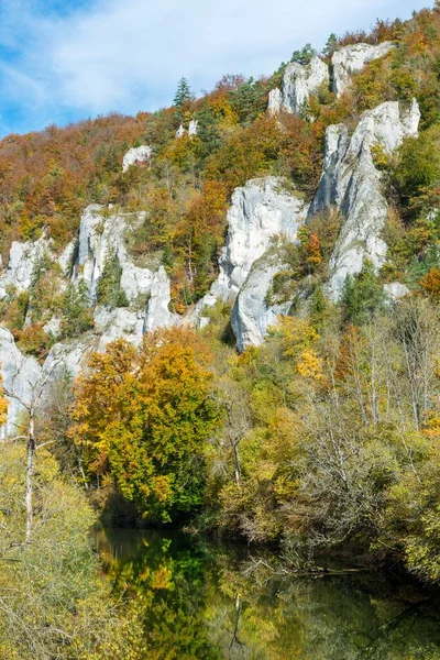 秋の色を持つ落葉樹林を持つ険しい石灰岩の岩 ドナウ渓谷 バーデン ヴュルテンベルク州 ドイツ ヨーロッパ — ストック写真