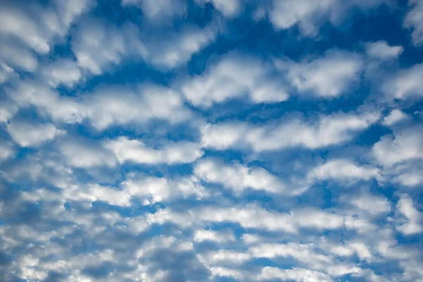 Obłoki Cirrocumulus Małe Puszyste Chmury Niemcy Europa — Zdjęcie stockowe