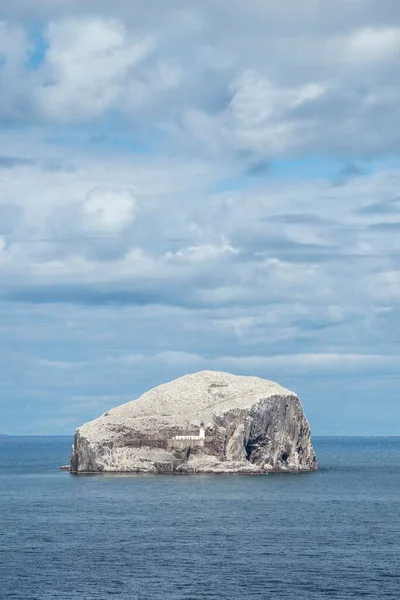 Bass Rock Rocce Vulcaniche Gannet Colonia Nel Firth Forth North — Foto Stock