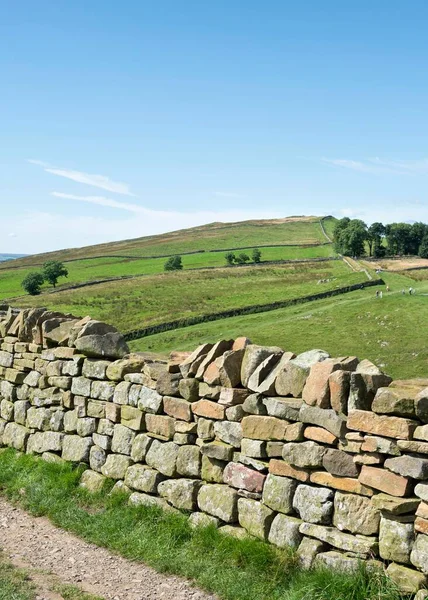 Hadrian Wall Haltwhistle Northumberland — 스톡 사진