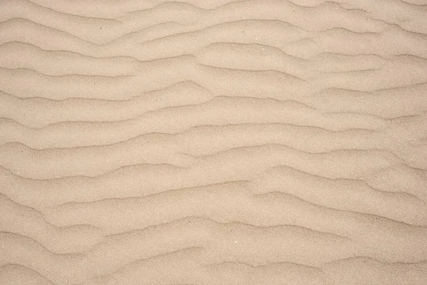 Песок Волнообразной Структурой Эймёйден Северная Голландия Нидерланды — стоковое фото