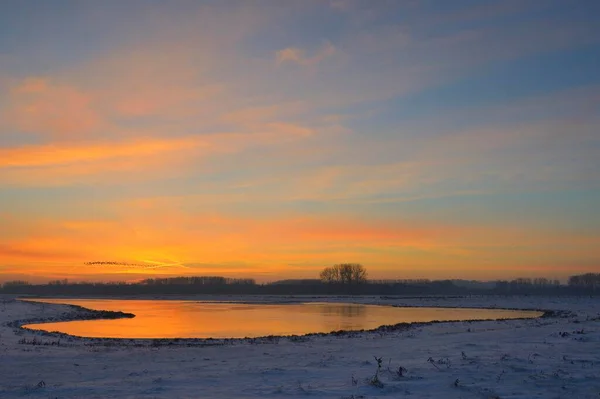 Afterglow Winter Meander Van Rijn Bislicher Insel Eiland Wesel Nederrijn — Stockfoto