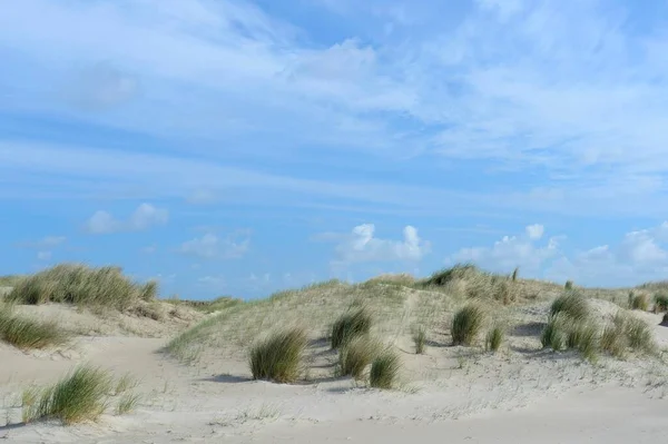 Dunas Hors Texel Islas Frisias Occidentales Provincia Holanda Septentrional Países — Foto de Stock