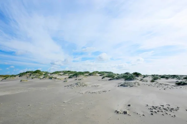 Dunes Hors Texel West Frisian Islands Province North Holland Netherlands — Stock Photo, Image