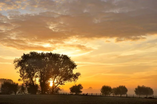Восход Солнца Деревьями Осенью Остберг Северный Рейн Вестфалия Германия Европа — стоковое фото