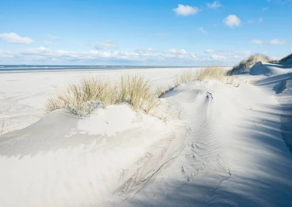 Dunas Blancas Con Hierba Playa Playa Mar Del Norte Langeoog — Foto de Stock
