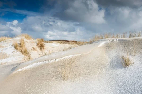 Duny Plážovou Trávou Sněhem Severní Moře Langeoog Východní Frisia Dolní — Stock fotografie