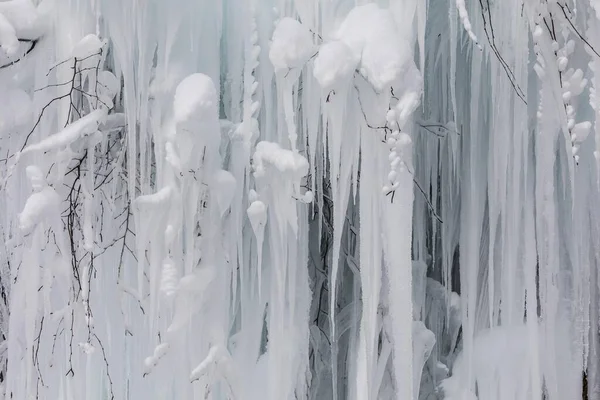 Uzun Buz Sarkıtları Ayrıntıları Olan Donmuş Ağaç Malters Lucerne Sviçre — Stok fotoğraf