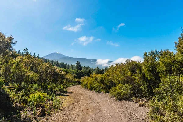 Camino Grava Sendero Senderismo Parte Posterior Del Volcán Pico Del — Foto de Stock