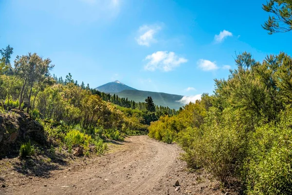 Гравійна Дорога Пішохідна Стежка Зворотному Вулкані Pico Del Teide Національний — стокове фото