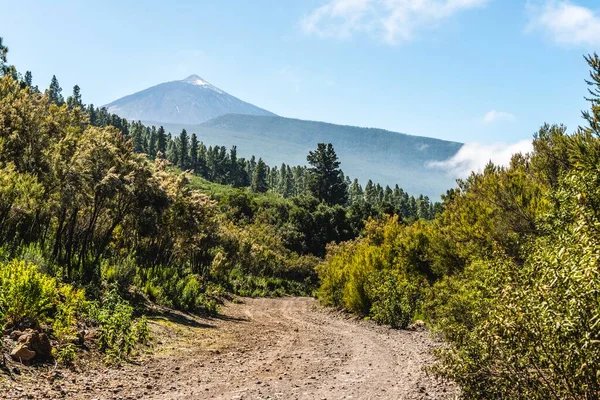 Camino Grava Sendero Senderismo Parte Posterior Del Volcán Pico Del — Foto de Stock