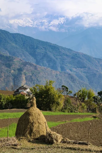 Himalaya Vue Village Montagne Dhampus Népal Asie — Photo