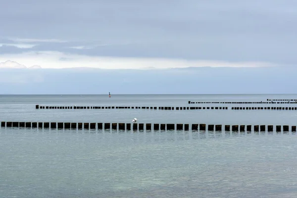 Бугры Один Другим Пляж Балтийского Моря Вблизи Цингста Фьорд Дар — стоковое фото