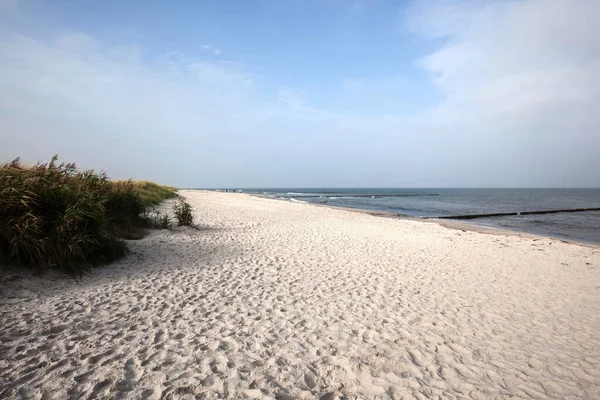 Spiaggia Del Mar Baltico Nella Località Baltica Zingst Fischland Dar — Foto Stock