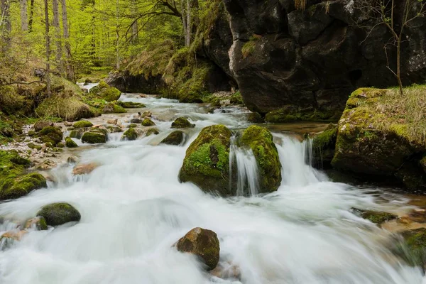 ハルトシュグラーベン国立公園 ゲッセー国立公園 スタイリア オーストリア ヨーロッパのコース — ストック写真