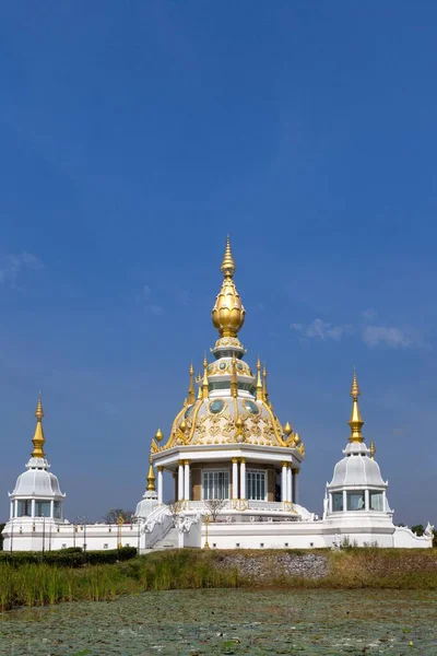 Damm Med Lotus Nelumbo Framför Maha Rattana Chedi Wat Thung — Stockfoto