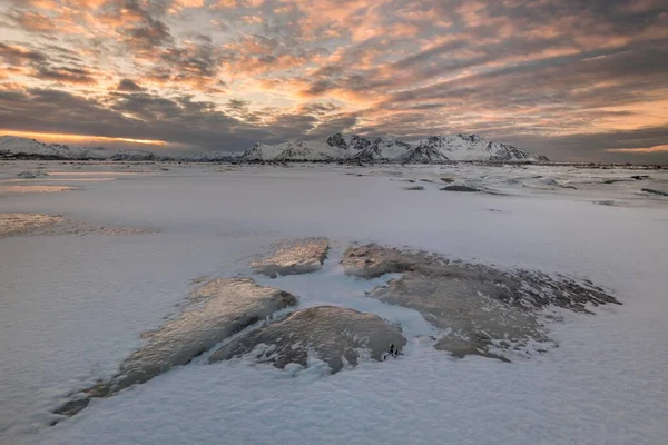 Wieczór Mroźnym Fiordzie Struktura Lodu Gimsoy Lofoten Norwegia Europa — Zdjęcie stockowe
