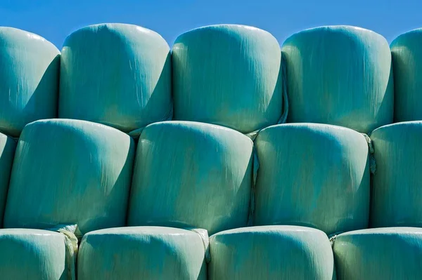 绿色青贮饲料袋 绿色塑料箔青贮饲料袋 上巴伐利亚 德国巴伐利亚 — 图库照片