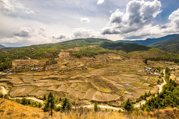Teras Ekimi Pirinç Tarlalı Manzara Bulutlu Atmosfer Paro Bölgesi Himalaya — Stok fotoğraf