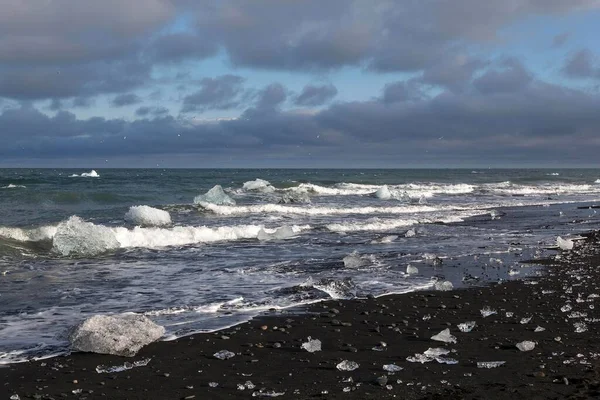 Malé Ledové Kry Kusy Ledu Moři Černá Lávová Pláž Blízkosti — Stock fotografie