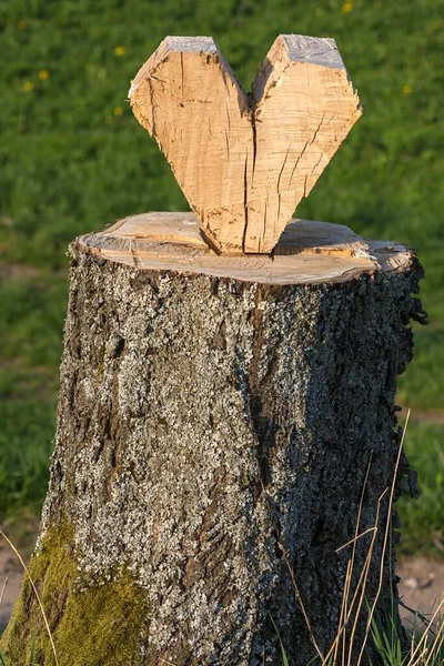 Сердце Вырезанное Ствола Дерева Бавария Германия Европа — стоковое фото