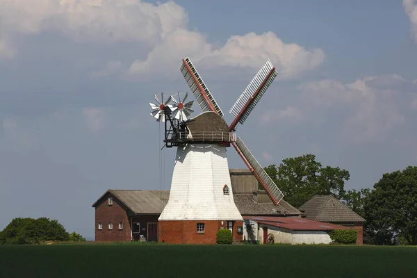 Windmill Eyendorf 역사적 Type Erdhollnder Niederschsische Mhlenstrae Eyendorf Lower Saxony — 스톡 사진
