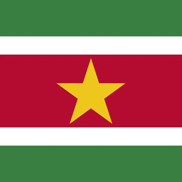 Official National Flag Suriname — Stock Photo, Image