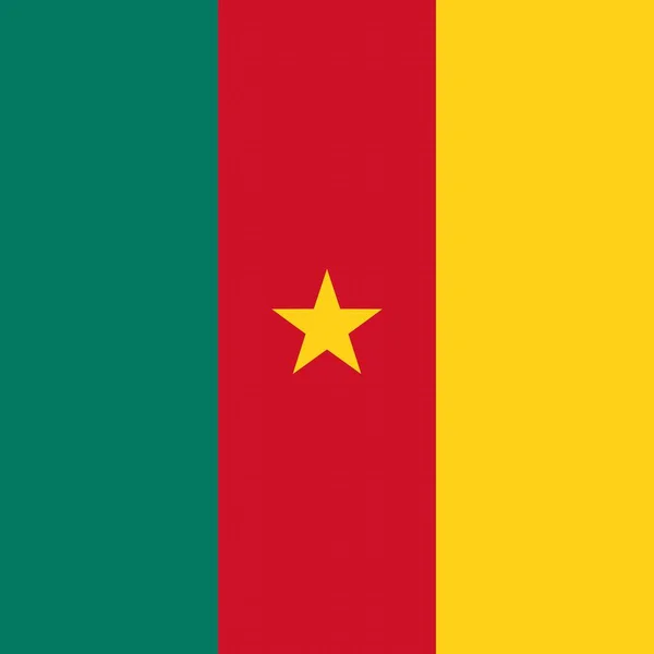 Offizielle Nationalflagge Kameruns — Stockfoto