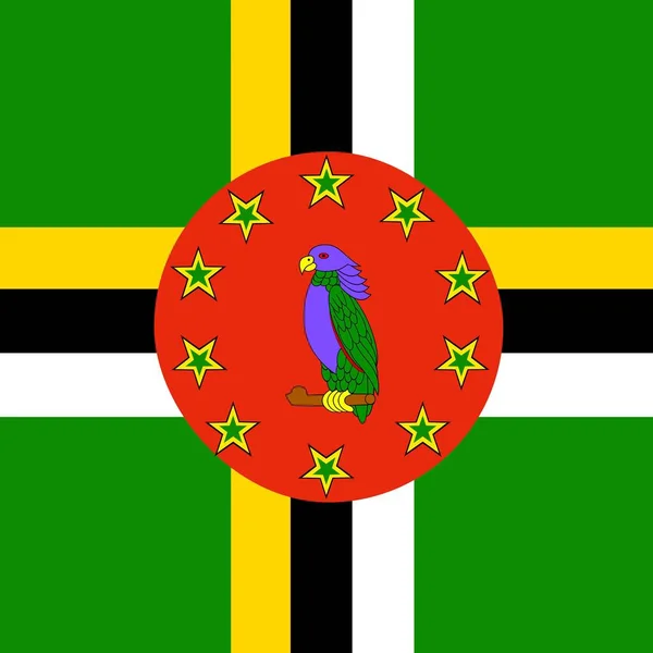 Oficiální Národní Vlajka Dominiky — Stock fotografie