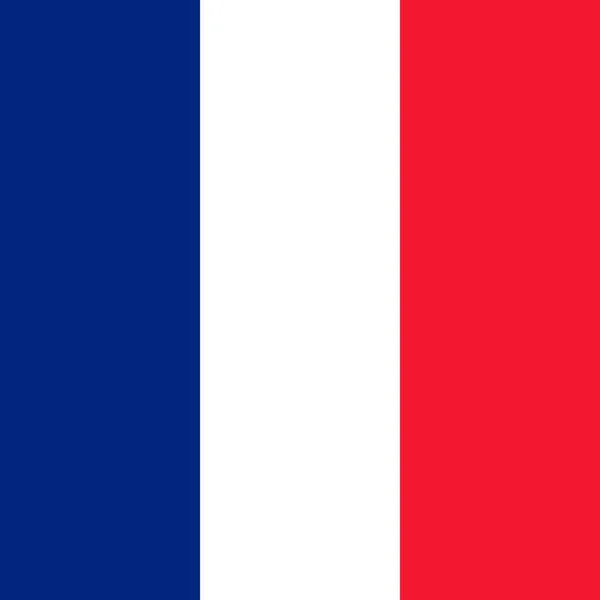Bandera Nacional Oficial Francia — Foto de Stock