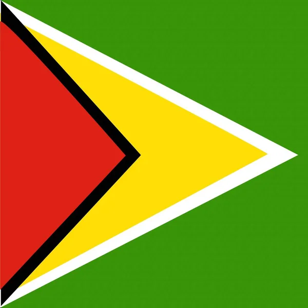 Offizielle Nationalflagge Guyanas — Stockfoto