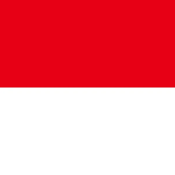 Bandeira Nacional Oficial Indonésia — Fotografia de Stock
