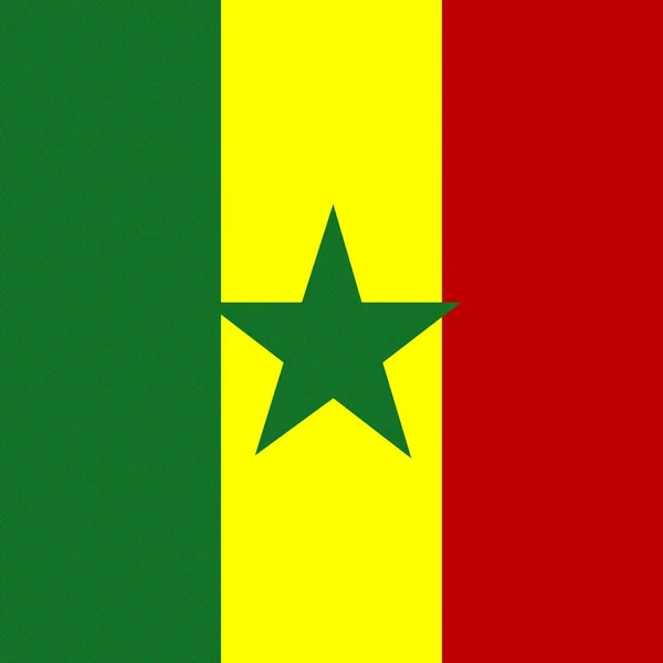 Επίσημη Εθνική Σημαία Της Σενεγάλης — Φωτογραφία Αρχείου