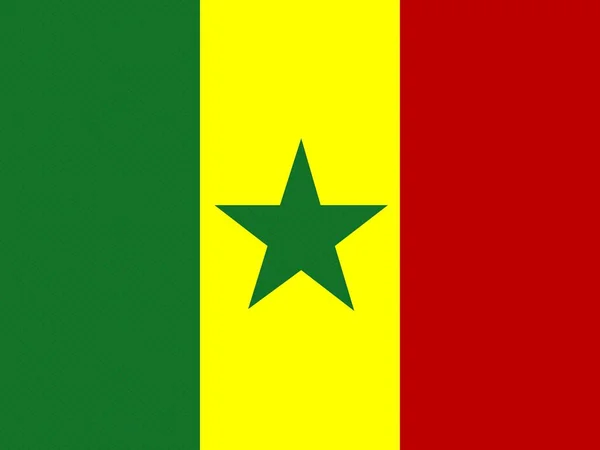 Bandeira Nacional Oficial Senegal — Fotografia de Stock